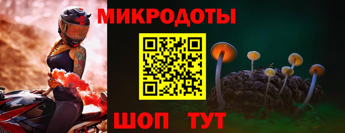 Псилоцибиновые грибы Cubensis  Вход с VPN  Кириши  Псилоцибиновые грибы Cubensis 